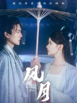 雾港谜案热播电视剧全集